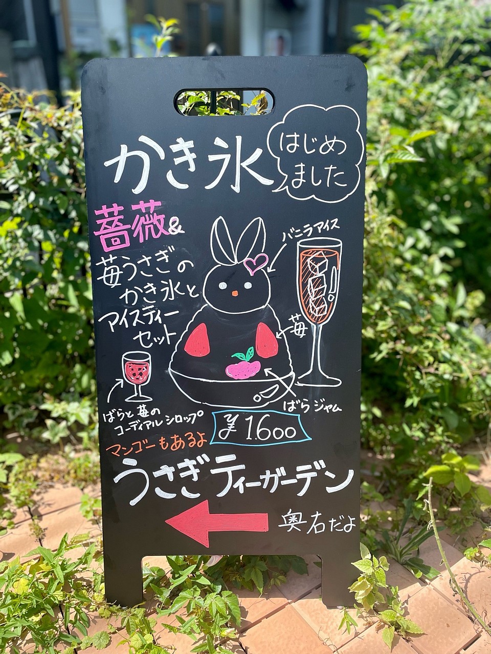 かき氷とアイスティーのマリアージュを！
