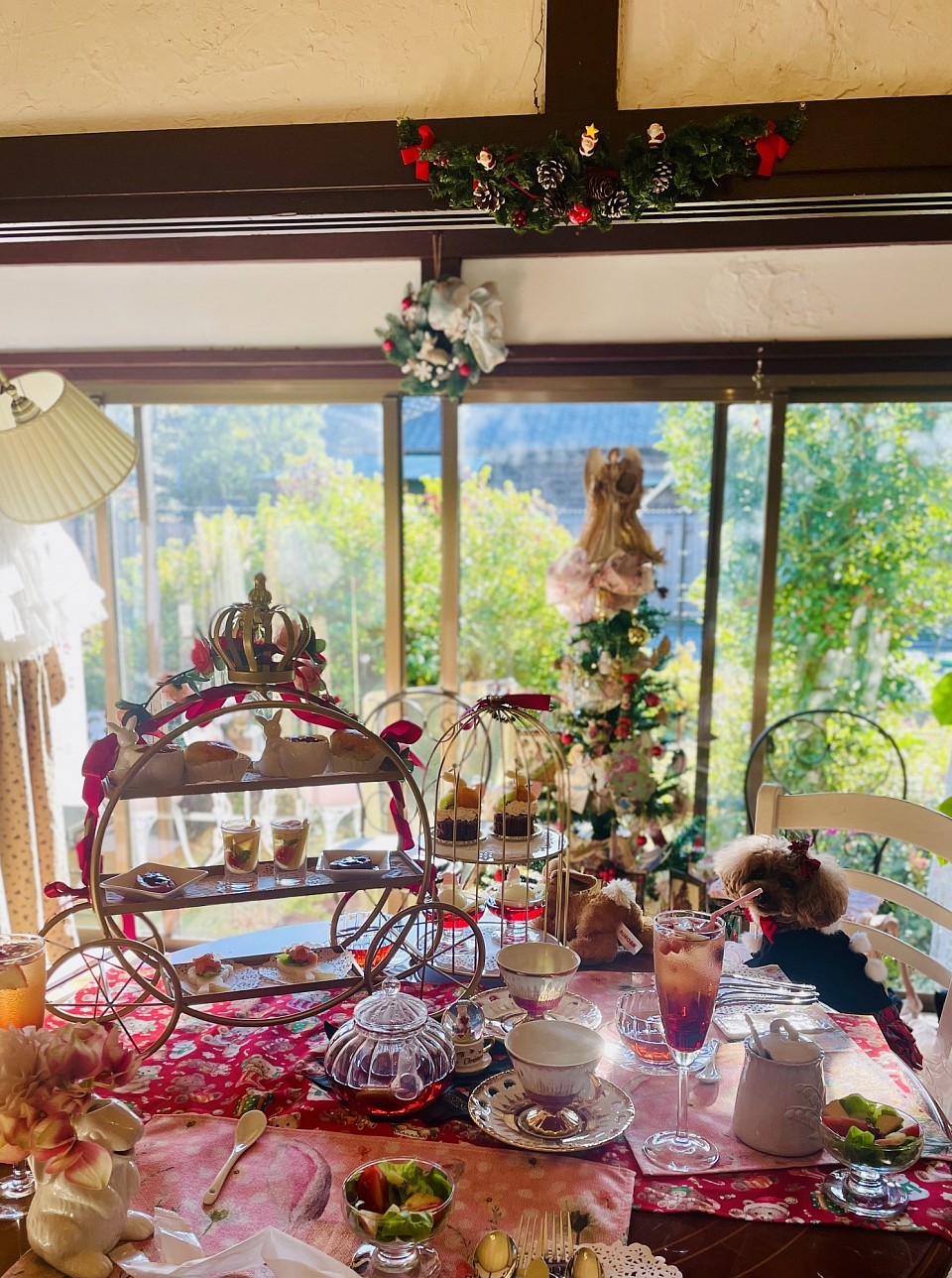 店内ワンちゃんOK席あり。ワンちゃんともアフタヌーンティーが楽しめちゃいます♡