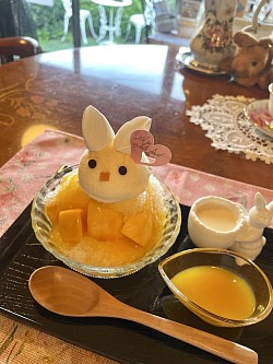 かき氷とアイスうさぎ♡