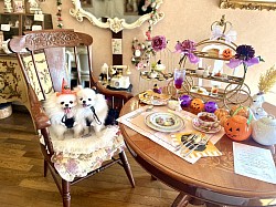 ハッピーハロウィン！